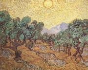 Vincent Van Gogh Olive Trees with Yellow Sky and Sun (nn04) France oil painting reproduction